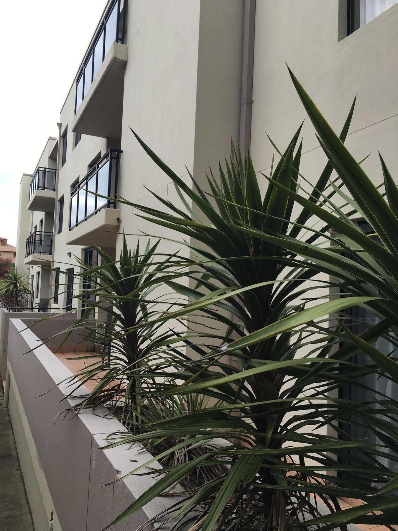 Wollongong Serviced Apartments Exterior foto